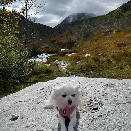 Tatil Evi Kvamskogen & Hardanger Holliday Homes