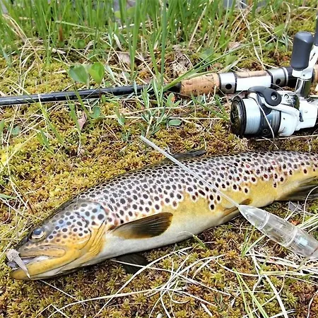 Kvamskogen & Hardanger Holliday Homes