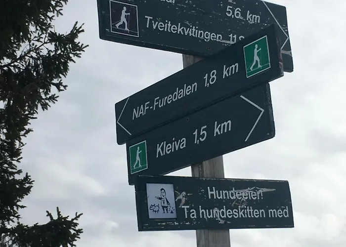 Kvamskogen & Hardanger Holliday Homes Prázdninový dům Norheimsund