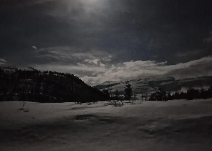 Kvamskogen&hardanger Holliday Homes Feriehus