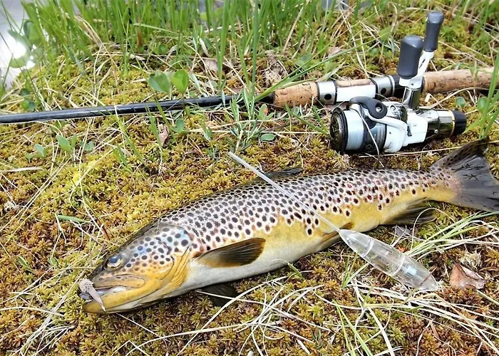 Kvamskogen & Hardanger Holliday Homes