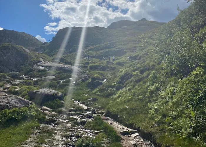 Semesterbostad Kvamskogen & Hardanger Holliday Homes Norheimsund