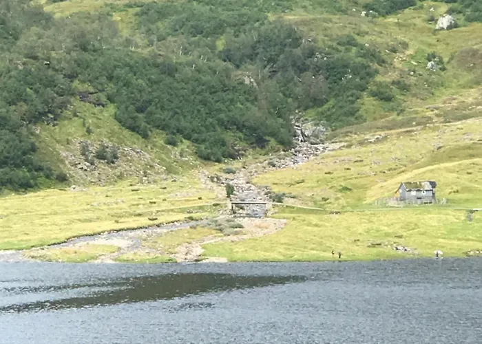 Kvamskogen & Hardanger Holliday Homes Norheimsund